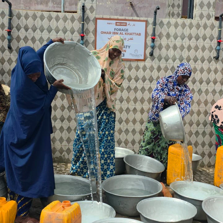 Forage au Bénin – Image 7