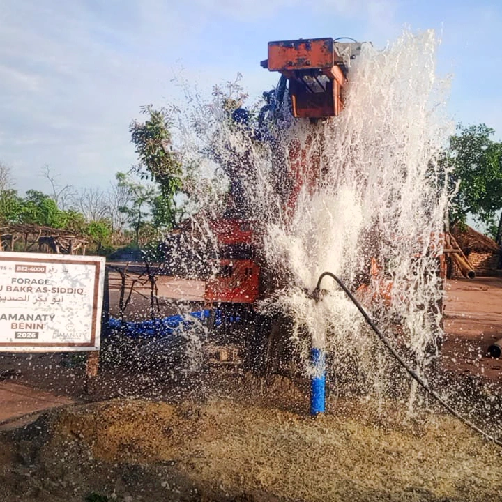 Forage au Bénin – Image 2