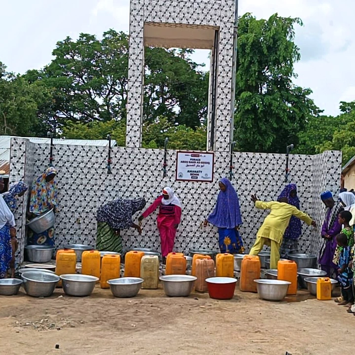 Forage au Bénin – Image 5
